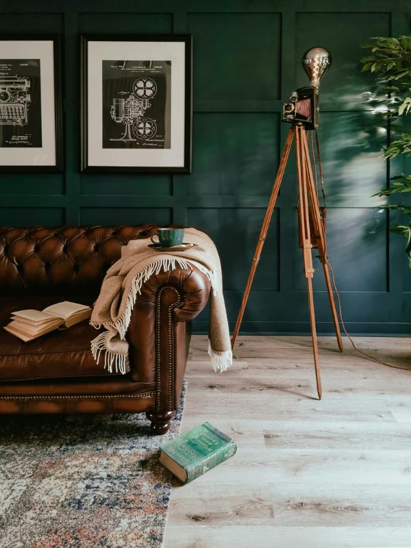 green wall living room with leather couch vintage camera décor
